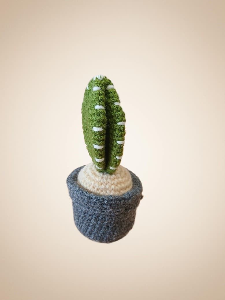 Planta cactus hecha a mano a ganchillo (amigurumi). - Imagen 2