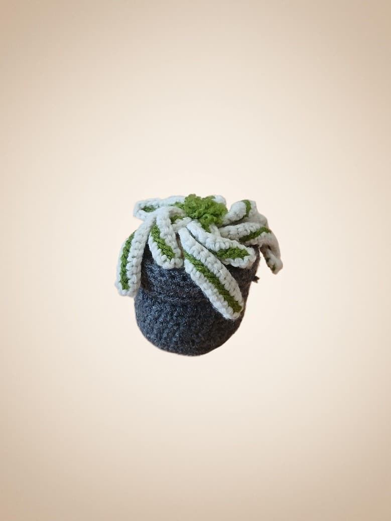 Planta cactus hecha a mano a ganchillo (amigurumi). - Imagen 1